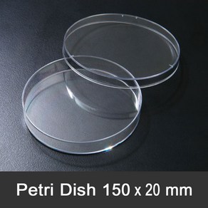 페트리디쉬 150x20mm (10개/pk) 미생물 배양 Peti dish 샬레 10150