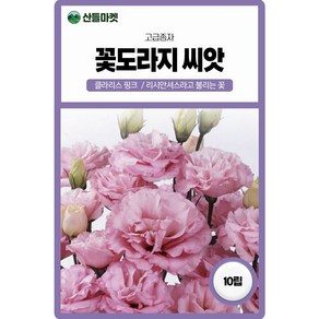 산들마켓 클라리스 핑크 꽃도라지 씨앗 10립 리시안셔스라 불리고 조생 대륜 장미형 도라지 꽃씨 종자, 1개