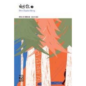 열린책들 마의 산 (중) (열린책들세계문학 218), 토마스 만