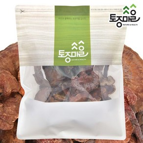 토종마을 자연산국산 영지버섯 500g, 1개