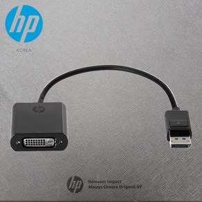 HP DisplayPot to DVI DP to DVI 어댑터, 1개