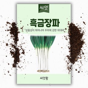 씨앗팜 흑금장파 씨앗(10g) 대파씨앗 종자, 1개