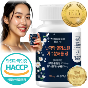 웰빙나인 난각막 엘라스틴 가수분해물 정 구절초 600mg x60정, 3개, 36g