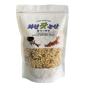 화천잣농산 2024년 국산잣 햇잣 황잣 잣 1kg, 500g, 1개