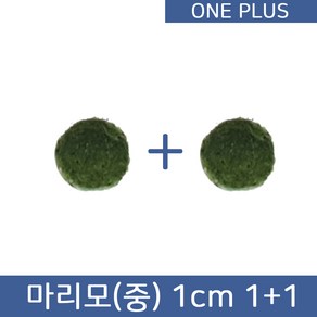 [원플러스 특가] 마리모 단품 중 1cm (1+1), 1세트