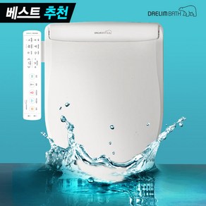 대림바스 3세대 올케어 직수 살균비데 IPX8완벽방수 극초슬림 커브드노즐 DDS-S250AS, 고객직접설치