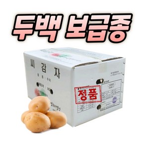 농사친구 강원도 두백 씨감자 4kg 10kg 20kg, 두백 4kg, 1개