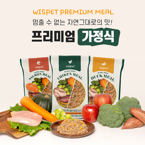 [와즈펫] 강아지 슈퍼프리미엄 가정식 사료 스타터팩 1kg (치킨 400g 오리 300g 연어 300g), 100g, 10개, 연어+오리