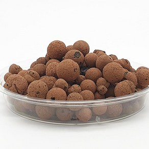 (25% 할인) 식물시간 hydroball - 1kg 화분 배수층 네덜란드 하이드로볼