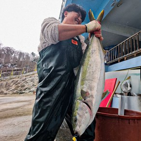 비밀의식탁 강원도 속초 자연산 대방어회 방어회 택배 산지직송 대일호 특대방어제철 추천가격 250g