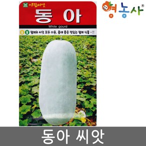 동아 씨앗 10립 동과 씨 종자, 1개