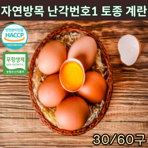 6시내고향 HACCP 인증 무항생제 난각번호1번 토종란 자연방사 동물복지 유정란 토종닭 알 자연 방목계란 생계란 유황 신선란 부화용 금계 프리미엄 달걀 정기배송 번호 30구, 2개