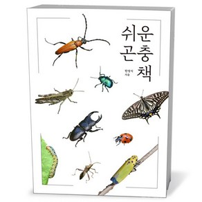 쉬운 곤충책, 1개