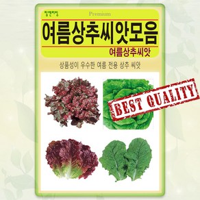 여름상추씨앗 모음 적치마 청치마 생채 흑치마 씨앗 종자 씨 유럽상추 씨앗, 7 프리미엄 여름청치마, 1개