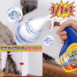 [일본 개발] 1/1+1 곰팡이 제거제 방지제 벽지 욕실 화장실 청소 베란다 창틀 얼룩 제거제 포장 랜덤 증정, 1개, 500ml