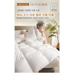 95% 거위털 이불 가을 겨울 이불 2.5kg