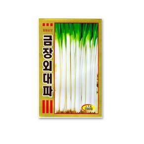 모칸도 동원종묘 금장외대파 2000립, 1개