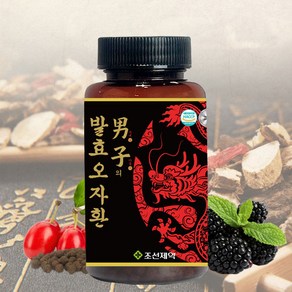 조선제약 남자의 발효오자환 100g, 5개