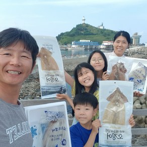 [서민갑부 오징어] 천해수산 건 마른오징어 10마리 부드러운 건조오징어 덕장 직배송