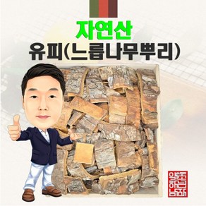 자연산 유피(느릅나무껍질) 300g (경북 영천) 국내산 국산