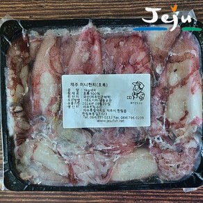 국산 제주 미니 갑오징어 미니 한치 1kg 통찜용 라면 해물 오징어 제한선 제주한림수산, 미니한치, 1개