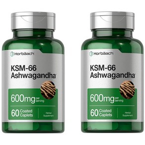 호바흐 KSM66 아쉬와간다 뿌리 추출물 L테아닌 함유 600mg 60정 X 2개