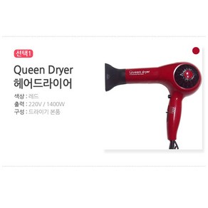 예스뷰티 전문가용 헤어드라이어 Queen Dye