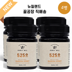 허니윌 마누카꿀 MGO525 UMF15+동일수치 뉴질랜드 프리미엄 마누카 허니, 250g, 4개