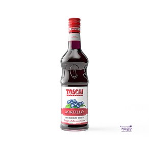 토스키 블루베리 시럽 1000ml TOSCHI, 1L, 1개