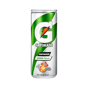 롯데 게토레이 340mlx24캔, 240ml, 30개