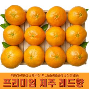 [다정한과일] 프리미엄 제주 레드향 가정용/선물용 (보자기포장), 1박스, 2kg 가정용 중소과