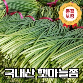 [정성담농원] 마감임박 국산 최상급 전남 순천 햇 마늘쫑 초특가 산지직송, 1박스, 상품 1kg
