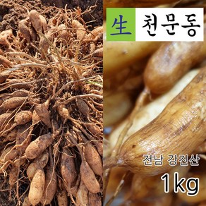 국산 전남 강진 남해안 5년근 생천문동 1kg 당일채취 생산자 직판, 1개