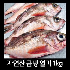 [힘찬열매] 자연산 손질 열기 생선 적어 불볼락, 1박스, 1kg(6마리 내외)