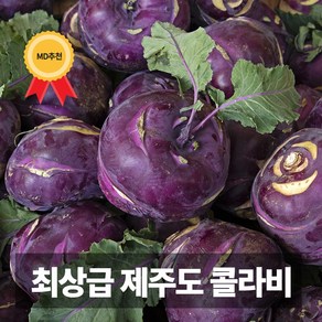 청담농수산 당일수확 농장직송 프리미엄 제주 특품 콜라비, 1개, 10kg