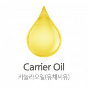 몰드몰 유채유 (카놀라) Canola Oil, 1L, 1개