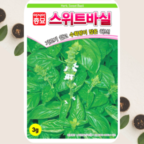 스위트바질씨앗 바질 종자 허브 키우기 3g, 1개