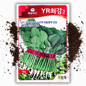 YR최강 열무씨앗 (30g) 여름열무 위항병 고온기, 1개