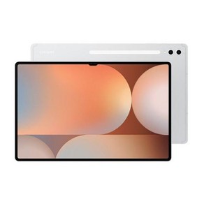 [삼성] 갤럭시탭 S10 Ulta SM-X920 (WiFi) 512GB 플래티넘 실버 SM-X920NZSEKOO, Wi-Fi