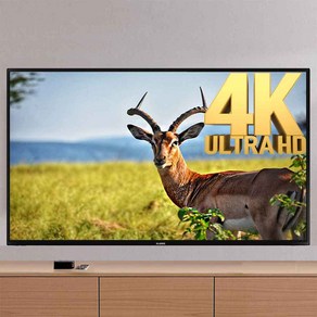 클라인즈 65인치 UHD 4K HDR LED TV 대형TV 벽걸이TV, 스탠드설치_서울