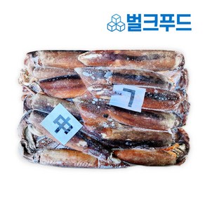 업소용 선동오징어 M사이즈 10kg 냉동 중국산 포크, 1개