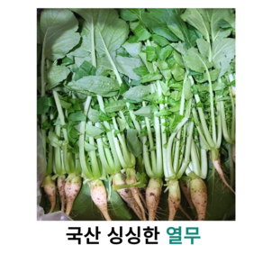 국내산 싱싱한 아삭아삭 연한 열무 2kg 4kg 국산 어린 열무 겉절이 열무김치 얼갈이 신선한 제철 채소 열무, 1개