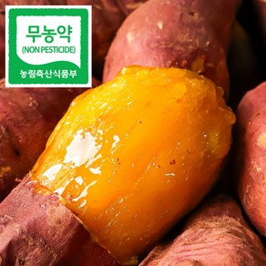 제철에 진심 해남 호박고구마 호풍미, 1박스, 중상(60-140g) 3kg