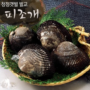 당일수확! 산지직송 보성 벌교 피꼬막 3kg (혼합), 1개