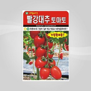 슬로시 열매 씨앗 종자 고추 가지 토마토 완두콩 녹두, 1개