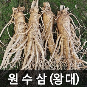 청명네이처 금산인삼 수삼(원수삼) 왕대 (750g) (4~5뿌리)