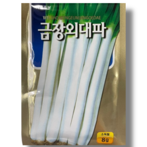 대파 씨앗 종자 금장외대파 8g, 1개