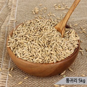 건강알곡 통귀리 5kg 앵무새 햄스터 소동물 영양간식, 1개