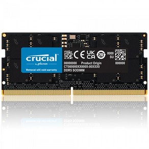 마이크론 Cucial 노트북 DDR5-5600 CL46 (16GB), 1개