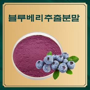 엔트코 블루베리농축분말